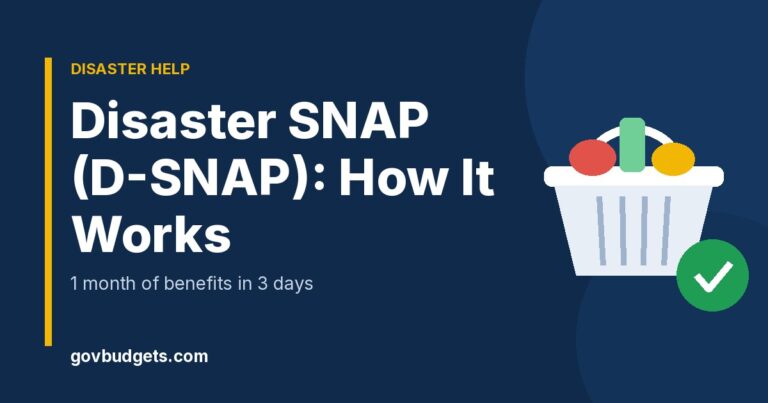Disaster SNAP D-SNAP guide