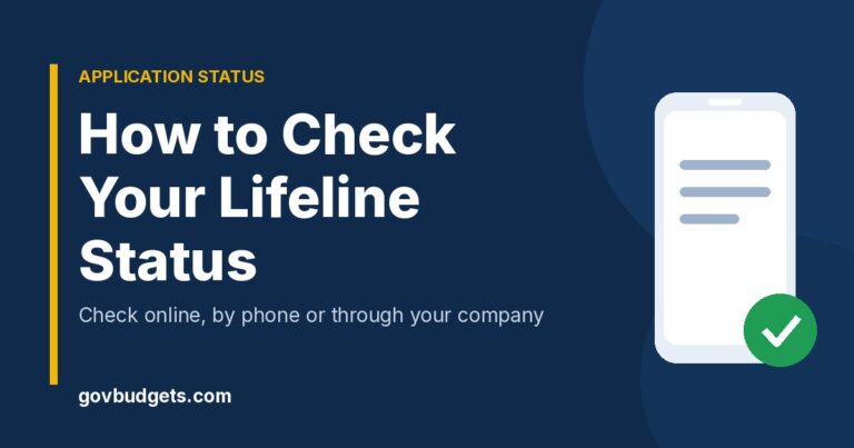 How to check Lifeline application status