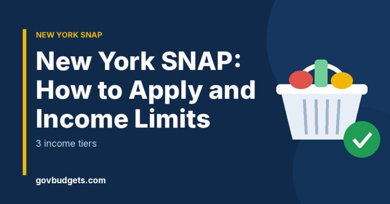 New York SNAP how to apply and income limits