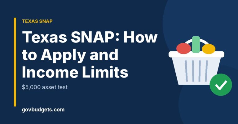Texas SNAP how to apply and income limits